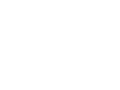 Publicis Groupe